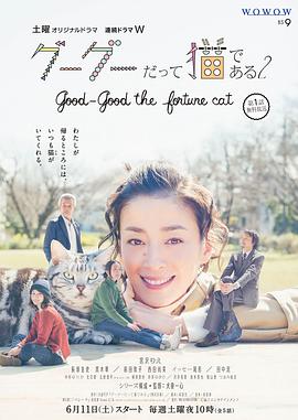 咕咕是一只猫2的海报
