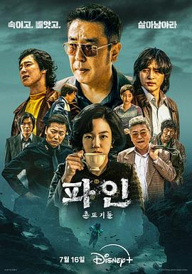 下流大盗的海报